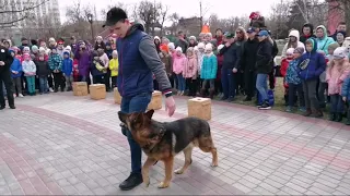 Выступления "Юных кинологов" и инспекторов-кинологов.