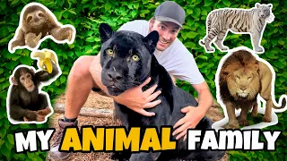 MY ANIMAL FAMILY ! LIONS, TIGERS, MONKEYS, AND MORE !!