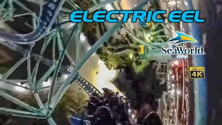 Electric Eel Roller Coaster at Night On Ride 4K POV SeaWorld San Diego 2022 03 19