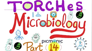 TORCHeS infections - Toxoplasma, Others, Rubella, CMV, Herpes, HIV, Syphilis - Picmonic -Micro (#14)