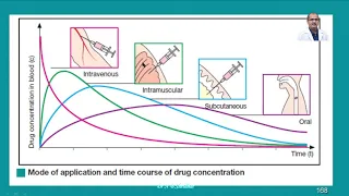 Pharmacokinetics  Part XIV: Plasma Half Life: As per VCI  Syllabus 2016             Dr N B Shridhar