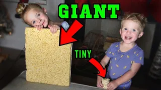 Posie and Zealand tiny VS GIANT food challenge!