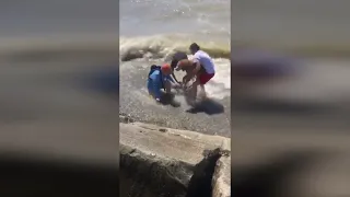 Teens Rescue Man and Dog Struggling to Escape Powerful Waves at Ohio Beach