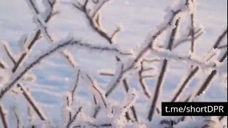 Парк Донецкий кряж и Ботанический сад / Donetsk Ridge Park and Botanical Garden