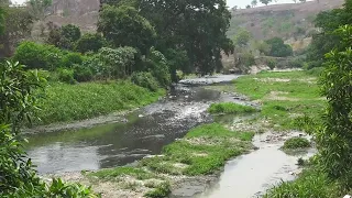 Familias en riesgo a las orillas del río Las Cañas