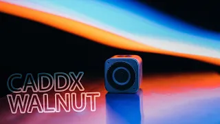 ☀ Сешн, ты ли это?! 4K, IP67, полный ФАРШ! [Caddx Walnut]