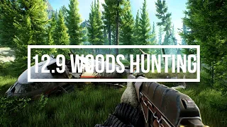 EFT | Hunting PMC's On The New Woods!