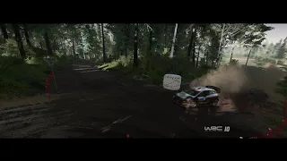 WRC 10 - Rally Estonia, Elva, Ford Fiesta