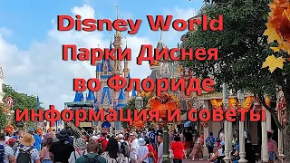 Disney world, Парки Дисней во Флориде, Информация и Советы