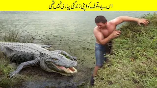 مگرمچھ کے یہ حملے آپ سب کو حیران کر دیں گے | Crocodile Shocking Attack Caught on Camera