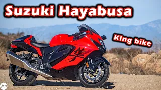 Taming the 2024 Suzuki Hayabusa – DM Review | Test Ride