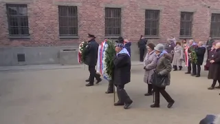 Survivors mark 75 years since Auschwitz liberation