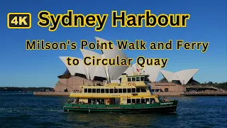 Milsons Point Walking Tour and Ferry to Circular Quay || Sydney, Australia