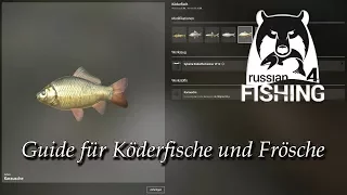 Russian Fishing 4 | Guide für Köderfisch und Frosch | Deutsch / German