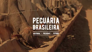 Pecuária Brasileira - História, Presente e Futuro - História da Pecuária - Parte 1