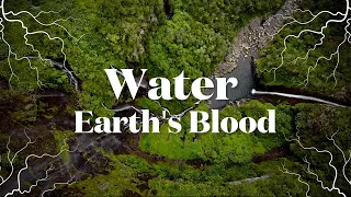 Water is Earth's Blood - The Old and New Water Paradigms to Restore Our Planet's Health