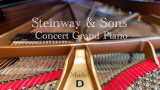 Steinway & Sons Model D Concert Grand Piano | Moonlight Sonata 3rd Movement-Beethoven | Kim's Piano