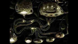 cool little thing I found while getting fungus acheivement in samorost 3