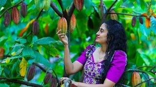 Homemade cocoa powder! 🍫 For steamed & cooked chocolate moist cakes with honey cones too|Poorna