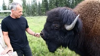 'Going In With Buffalo'