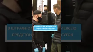 Навальный в ШИЗО. За что?