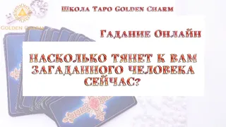 НАСКОЛЬКО ТЯНЕТ К ВАМ ЗАГАДАННОГО ЧЕЛОВЕКА СЕЙЧАС?/ОНЛАЙН ГАДАНИЕ/ Школа Таро Golden Charm