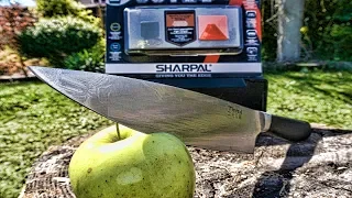 The BEST Sharpening Tool? (SHARPAL Diamond Sharpening Stone)