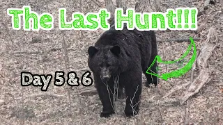 A Bear Hunt for Black Nose Bear. 7 Footer!! (Spring Bear 2022 - Manitoba)
