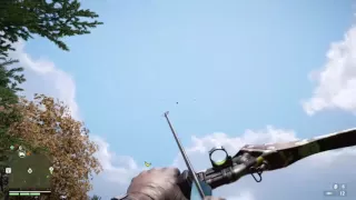 Far Cry 4 - Accurate Arrow