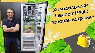 Встраиваемые холодильники Liebherr премиум-класса | Обзор серии Peak