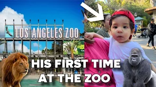 BABY'S FIRST TIME AT THE ZOO!!!