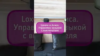 Алиса может все). Управляем музыкой 🎶с выключателя.Мультирум в вашем доме 🏠. Музыка играет 🎸везде