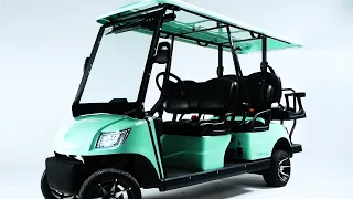 Birdie Cruize 6 | Your Comfortable Electric Ride