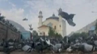 Afghans mark Eid as rockets hit near palace