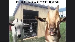 Building a Goat House w/ my Cousins Featuring Many Funny Goats and a Dog