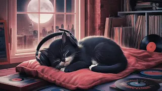 Lofi Kitten: Dreamy Lofi Beats to Lull You into Deep Sleep