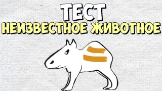 Рисуночный Тест : "Неизвестное животное"