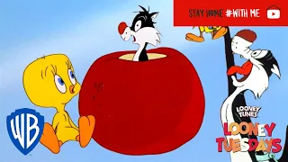 Looney Tuesdays | Iconic Duo: Tweety and Sylvester | Looney Tunes | WB Kids