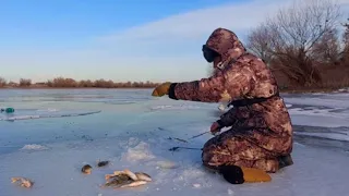 ОТЛИЧНЫЕ ЗИМНИЕ ОКУНИ на Ахтубе. Рыбалка в мороз и ветер.