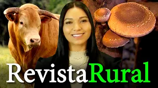 PROGRAMA REVISTA RURAL - 17/09/2023