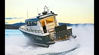 Sargo 36