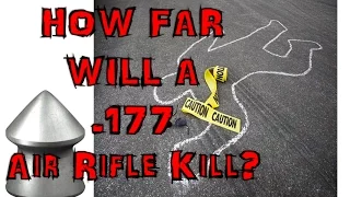 HOW FAR WILL 177cal AIR RIFLE KiLL?