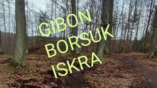 BFW Gibon - Borsuk - Iskra || BigFoot Works Bikepark || TPK Sopot Gdańsk