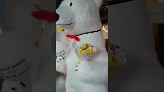 Поздравление с годовщиной свадьбы Поздравление от белого медведя