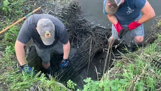 Remove blockage in the culvert...again