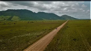 Driving through the Rupununi Savannah surrounded by wildlife (Road to lethem - Guyana)