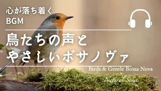 Natural Sonic「鳥たちの声とやさしいボサノヴァ」- 心が落ち着くBGM -