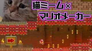 猫ミームとマリオメーカーがコラボしたコースが神コースすぎたｗｗｗ