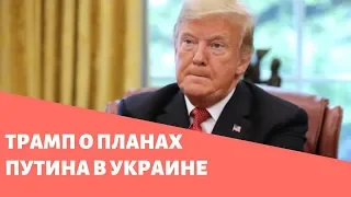 Трамп о планах Путина в Украине: Мы не можем этого позволить