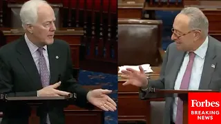 Cornyn To Schumer: 'Can You Give Me An Example' Of A Law That Suppresses Right To Vote